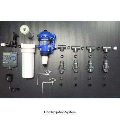 Hydroponisches vertikal selbstbewässerndes künstliches Grünwandsystem für Grünprojekte