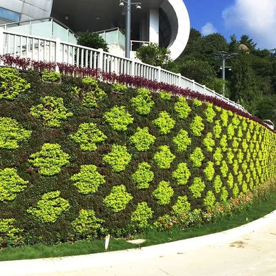 Vergrünungsprojekte Innen-Hängende Wand Garten vertikaler Pflanztopf für Blumen/grüne Pflanzen