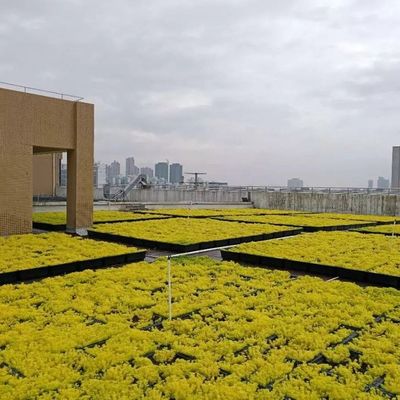 Moderne grüne Dachschalen - die ultimative Lösung für Blumen und Gemüsepflanzen