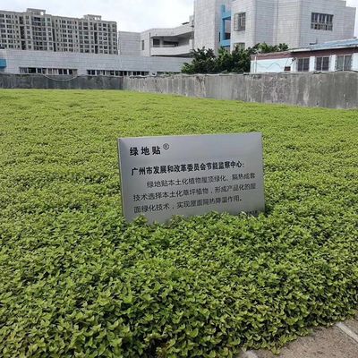 Quadratischer Kunststoff-Gartengetränker mit Hdpe-Material und nicht beschichtetem Finish