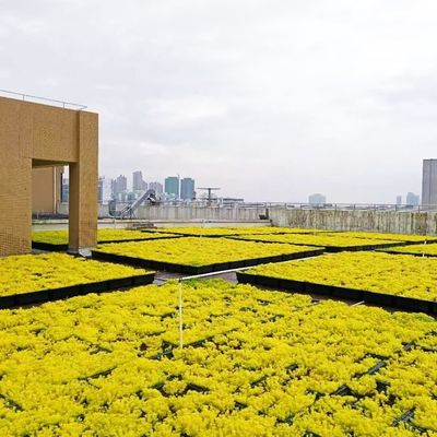 Gartenpotenzial Schwarz-Grün Dachschacht Funktional und vielseitig