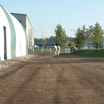 330*330*50MM Höhe 5mm Fußpferde Pferdehalle Grasholz Paver Stall Gitter Pferdehalle Gitter