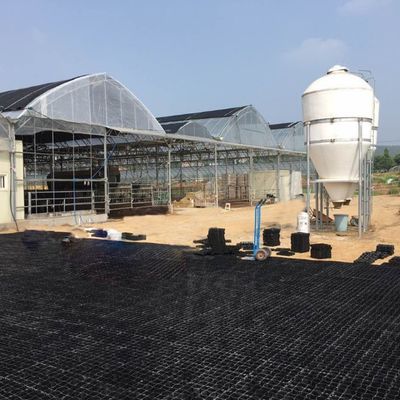 330*330*50MM Höhe 5mm Fußpferde Pferdehalle Grasholz Paver Stall Gitter Pferdehalle Gitter
