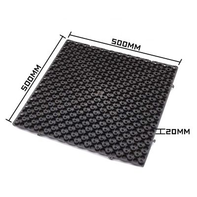 HDPE Grübchen Grün Dach Garten Fundament Membran für 4 Menge pro Quadratmeter