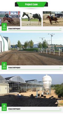 333x333x50mm Plastikrasengitter für Rasenflächen aus HDPE-Horse Paddock Fußnetz Paver