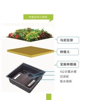 Grünes Dach-Tray-System für das Grünen des Daches