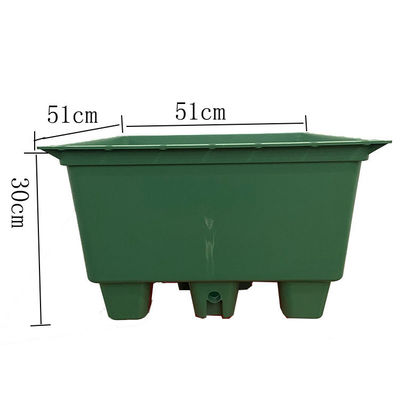Quadratische Form Sedum Grüne Dachschacht für Plastik Große Gartenpflanzer und Grüne Pflanze