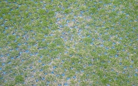 Geozell-Grund-Kiesnetz Paver-Grid Die ultimative Lösung für die Bodenverstärkung