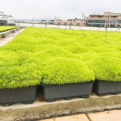 Einfach zu montieren Kunststoff-Garten-Blütentopf für Dekor und Grünen des Gartens