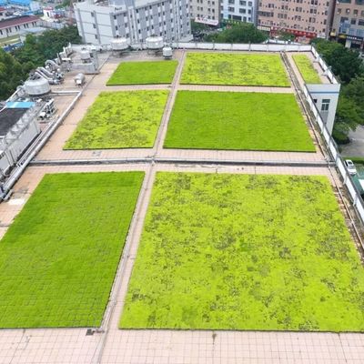 Modulares grünes Dachbecken für Pflanzungssysteme mit PP-Kunststoff ohne Beschichtung