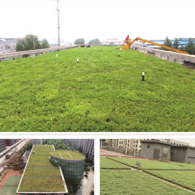 Umweltfreundliches Modular-Tray-System für Blumen und Gemüse mit grünem Dach