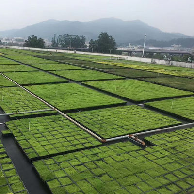 Umweltfreundliches Modular-Tray-System für Blumen und Gemüse mit grünem Dach