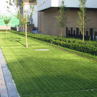 Hotel-HDPE-Plastikpflaster für Pferde-Paddock-Gitter Verbessern Sie den Lebensraum Ihres Pferdes